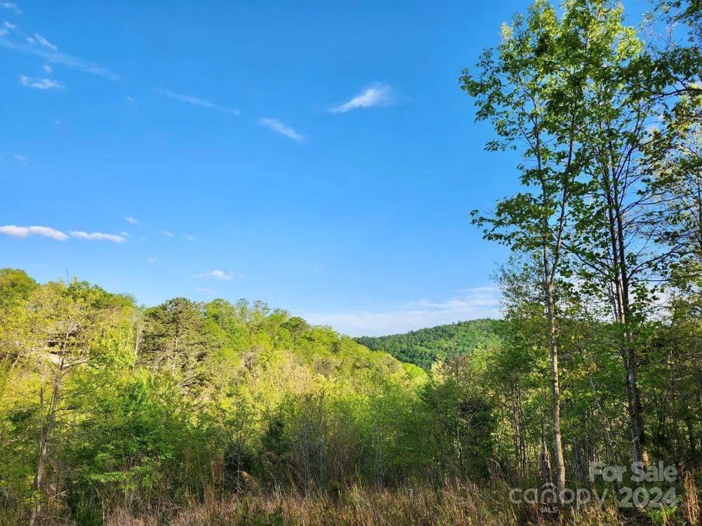391 Red Fox Trail #16 Marshall, NC 28753