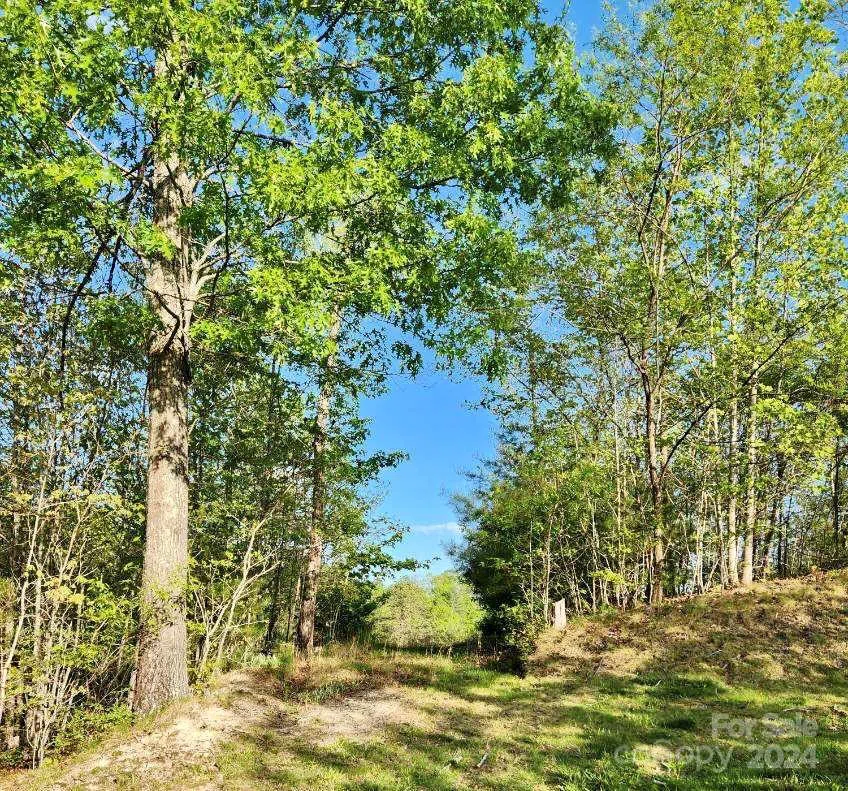 391 Red Fox Trail #16 Marshall, NC 28753