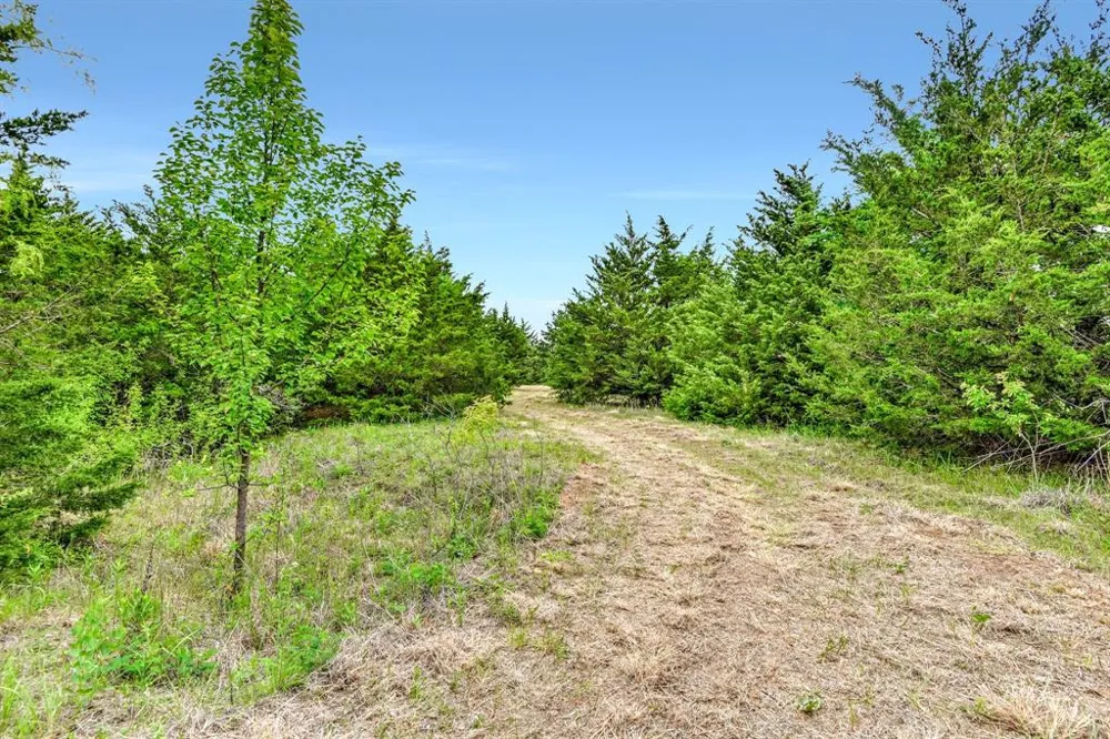 Airport Road Tioga, TX 76271