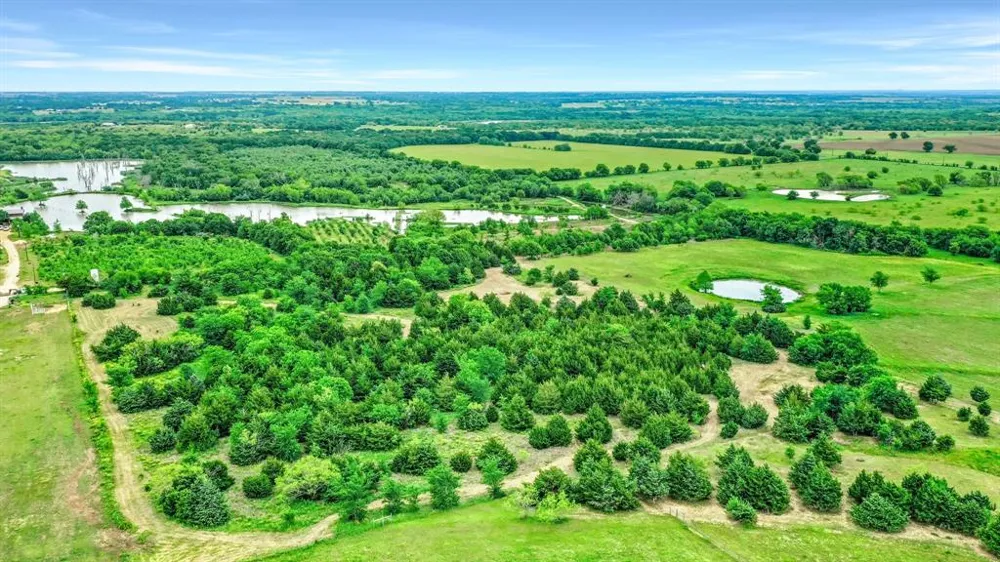 Airport Road Tioga, TX 76271