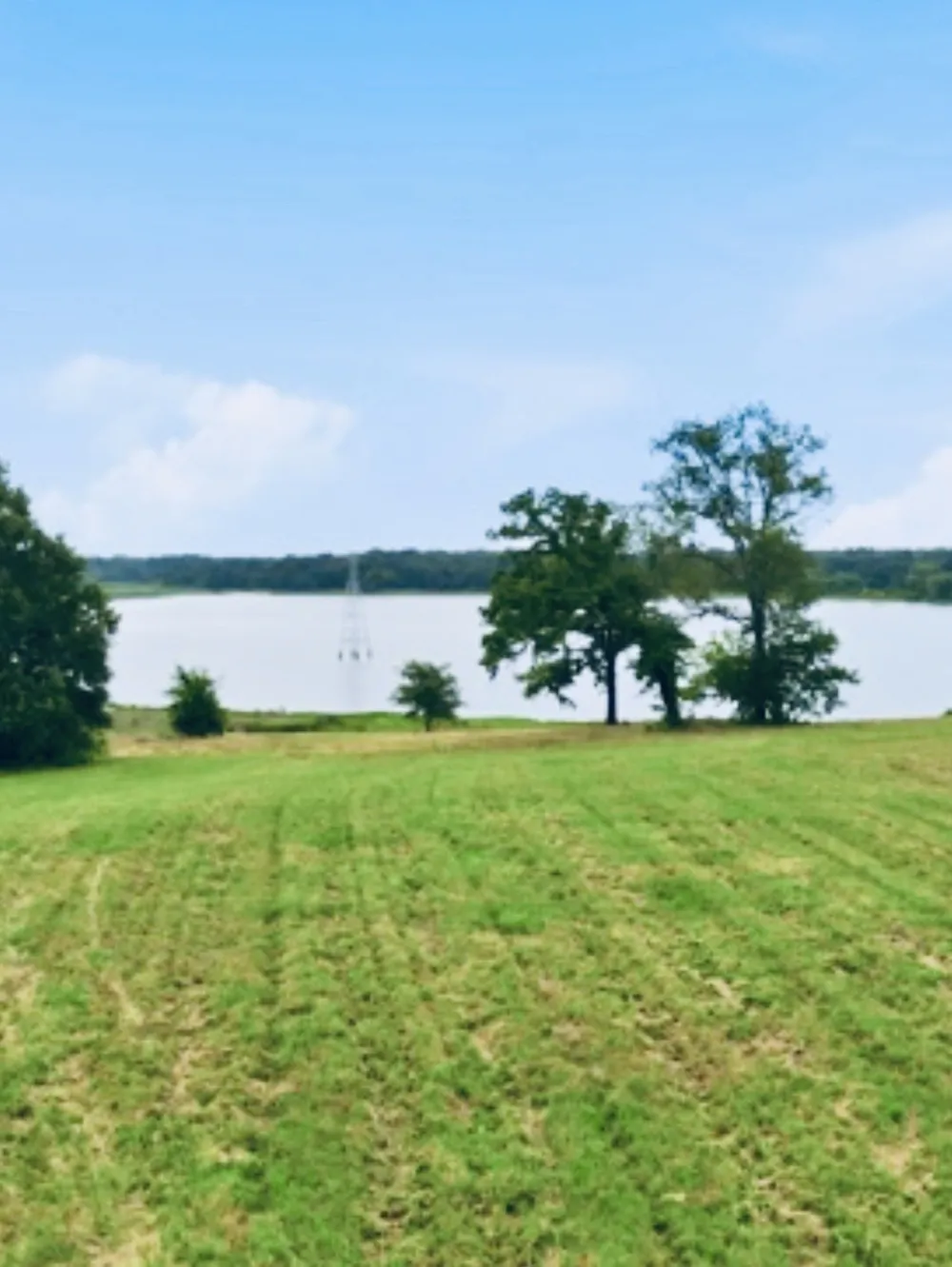 343 Private Road 7327 Emory, TX 75440