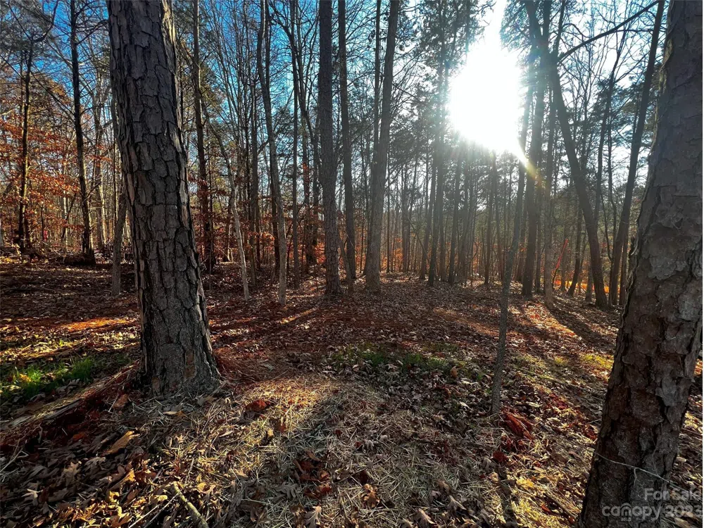 157 Copper Pine Lane #7 Davidson, NC 28036