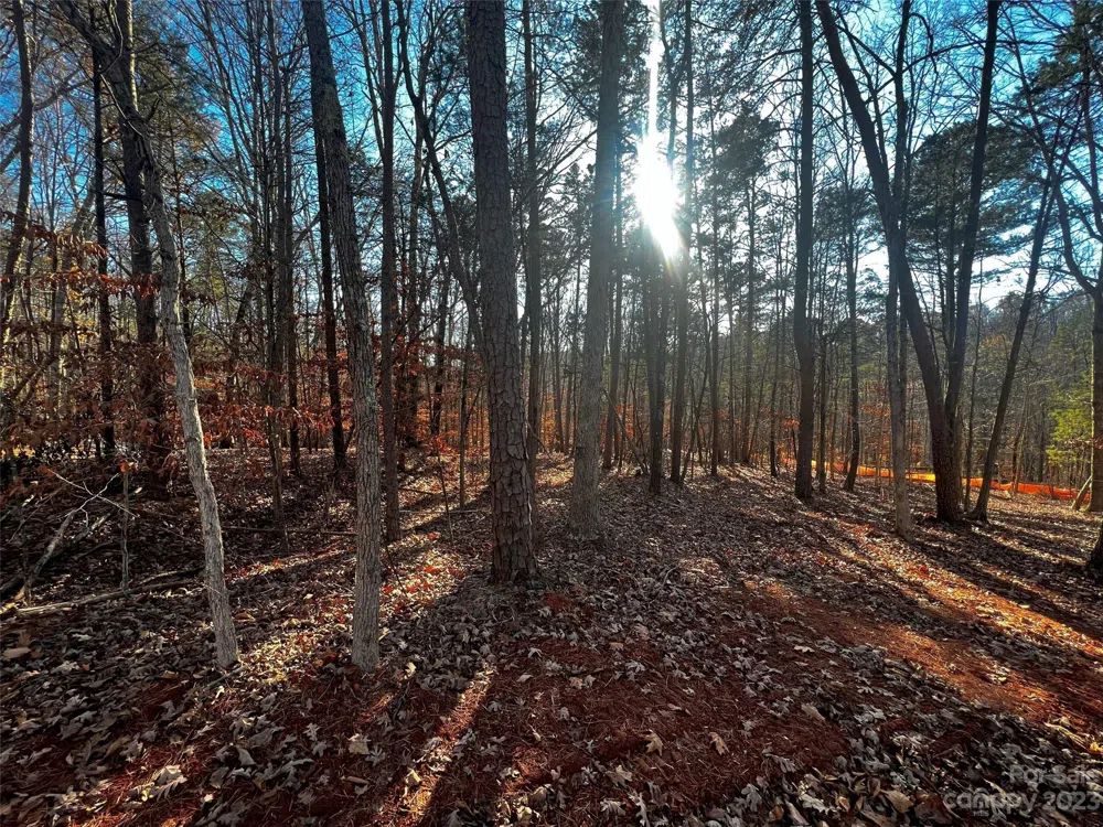 157 Copper Pine Lane #7 Davidson, NC 28036