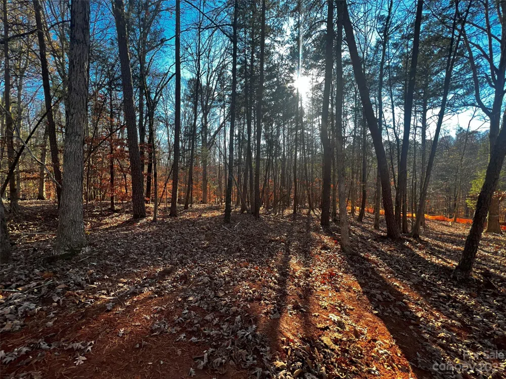 157 Copper Pine Lane #7 Davidson, NC 28036