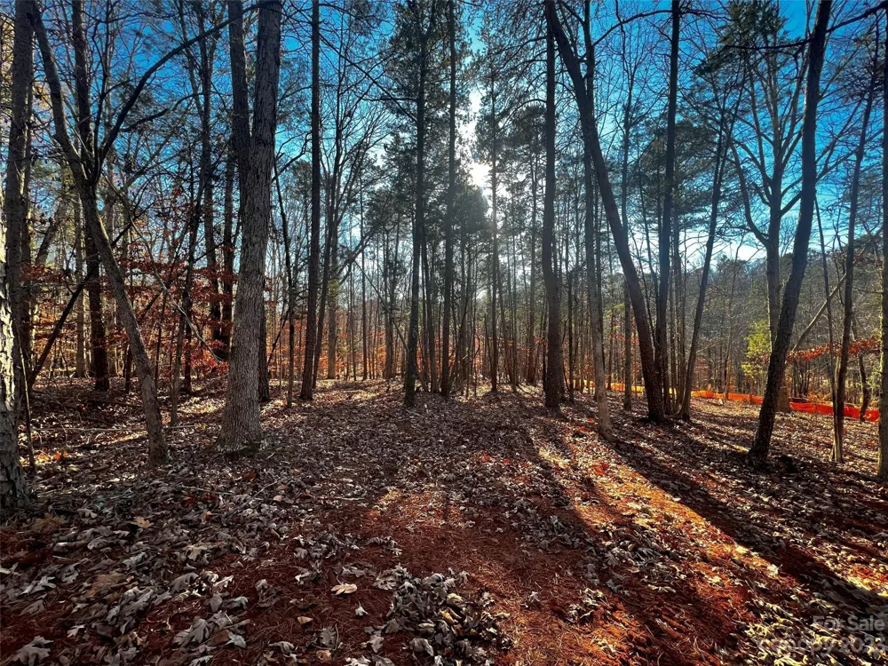 157 Copper Pine Lane #7 Davidson, NC 28036