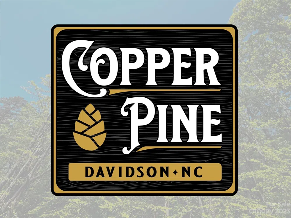 157 Copper Pine Lane #7 Davidson, NC 28036