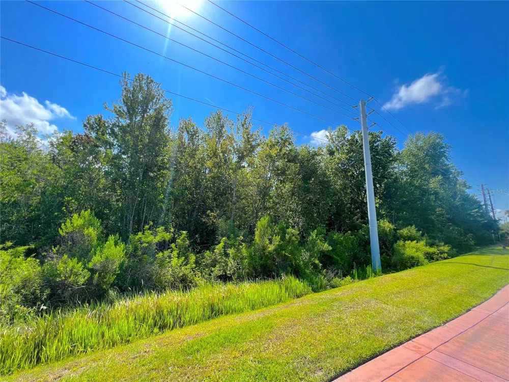 W IRLO BRONSON MEMORIAL HIGHWAY Kissimmee, FL 34746