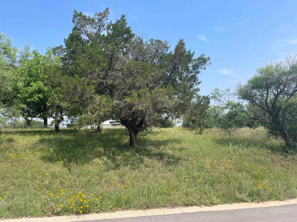 W18076 Spider Valley