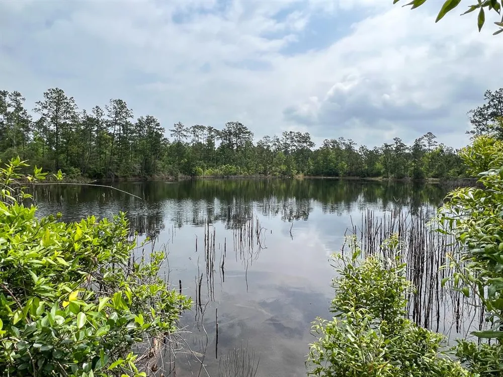 FM 2937/Old Arco Road Silsbee, TX 77656