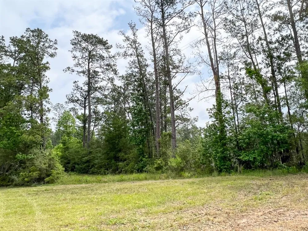 FM 2937/Old Arco Road Silsbee, TX 77656