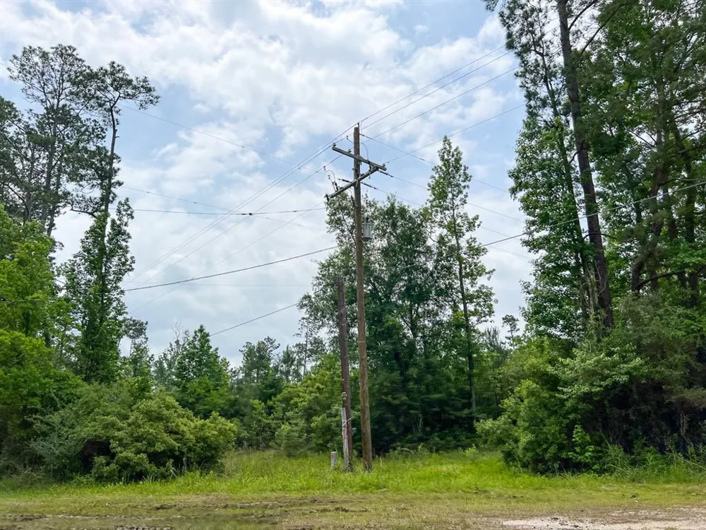 FM 2937/Old Arco Road Silsbee, TX 77656