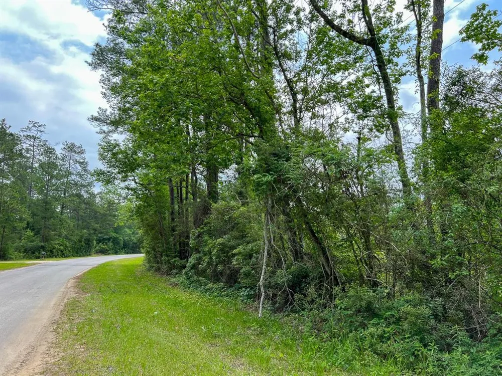 FM 2937/Old Arco Road Silsbee, TX 77656