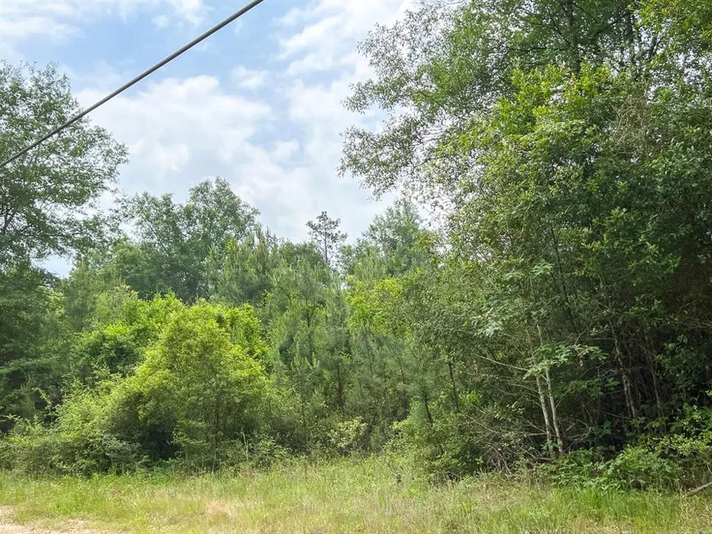 13 Old Arco Rd Silsbee, TX 77656