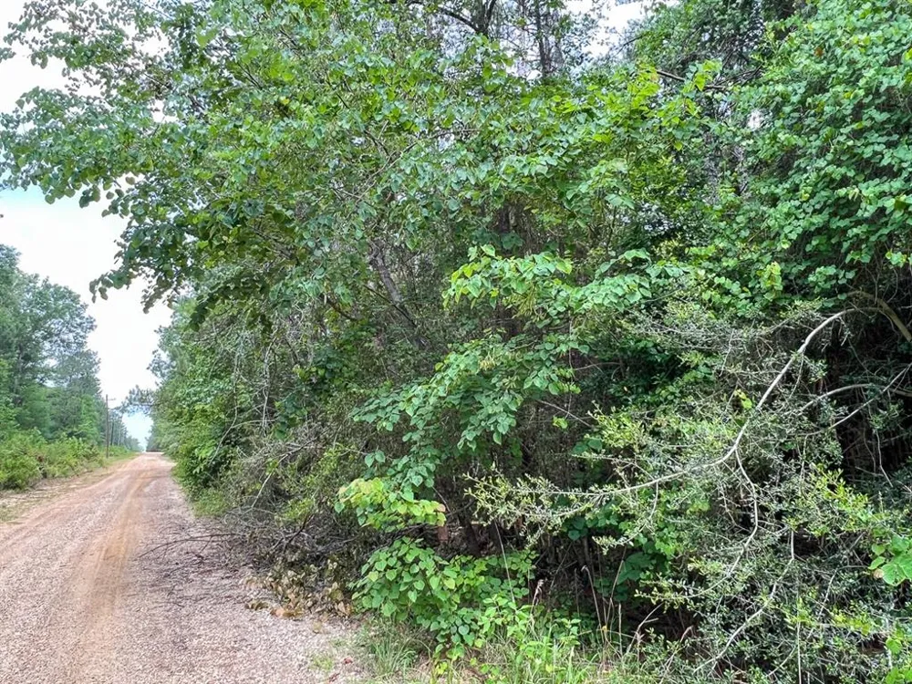 13 Old Arco Rd Silsbee, TX 77656