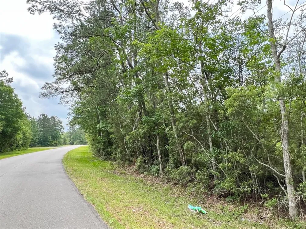 FM 2937/Old Arco Road Silsbee, TX 77656