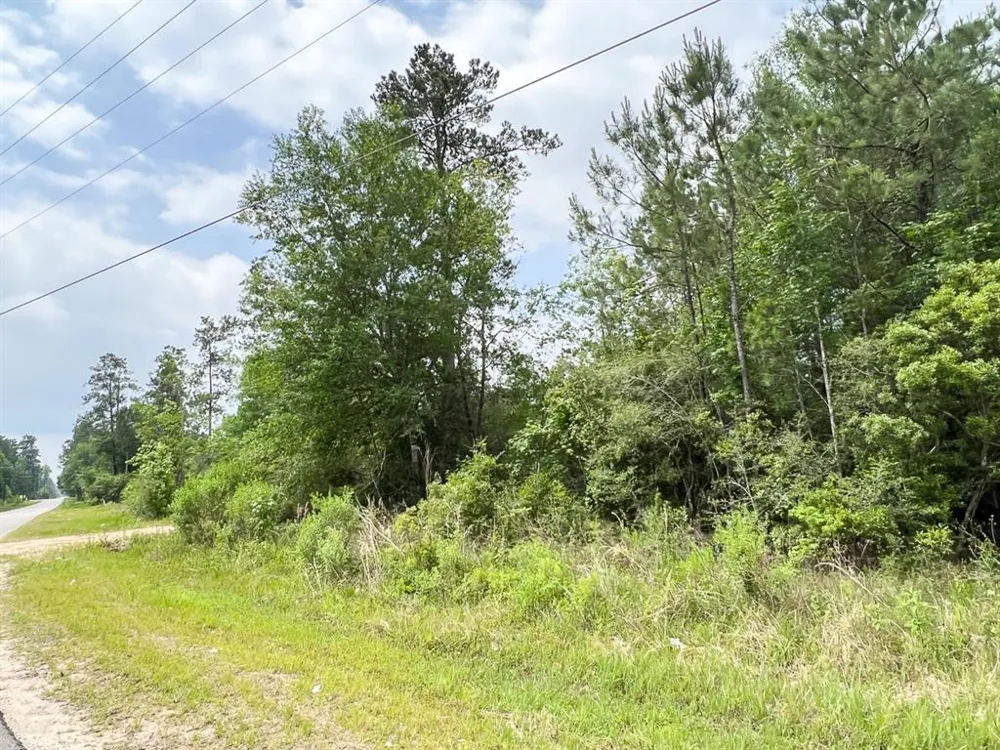 FM 2937/Old Arco Road Silsbee, TX 77656