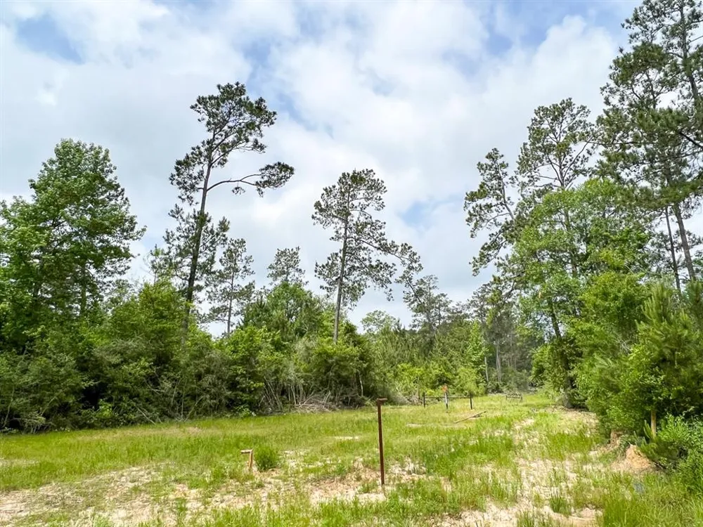 FM 2937/Old Arco Road Silsbee, TX 77656