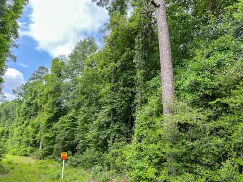 FM 2937/Old Arco Road