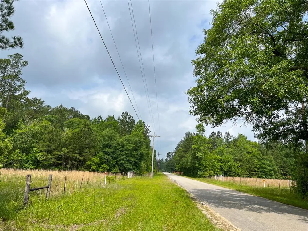 Elise Gore Lane Silsbee, TX 77656