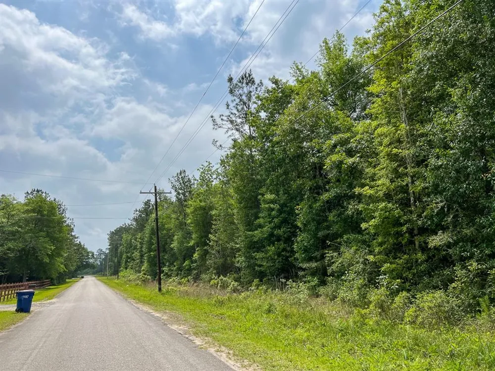 Elise Gore Lane Silsbee, TX 77656