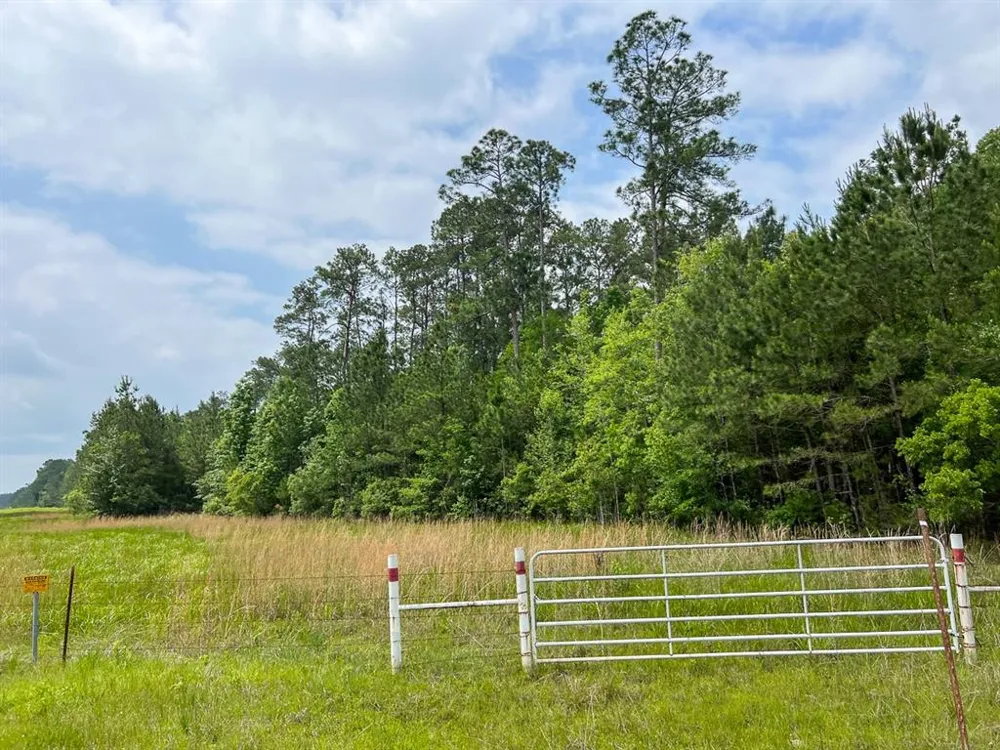 Elise Gore Lane Silsbee, TX 77656