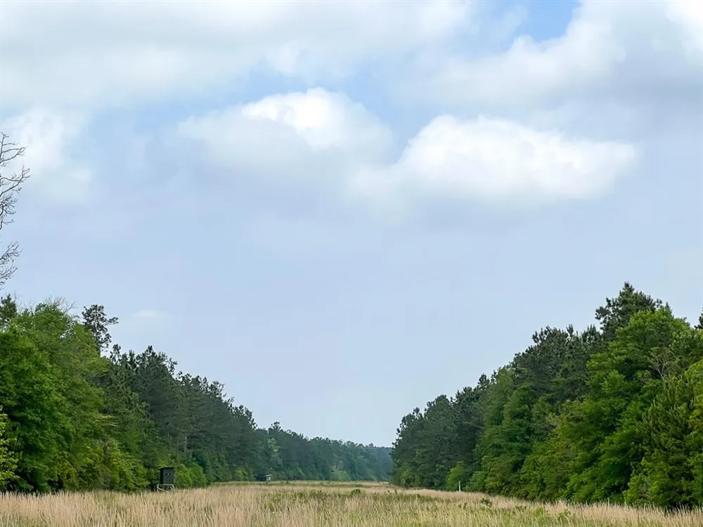Cravens Camp Rd. Silsbee, TX 77656