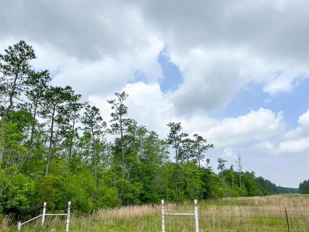 Cravens Camp Rd. Silsbee, TX 77656