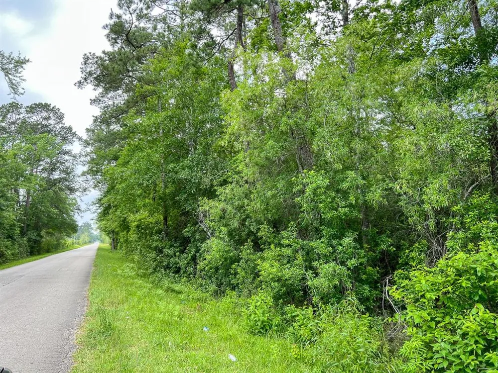 Cravens Camp Rd. Silsbee, TX 77656