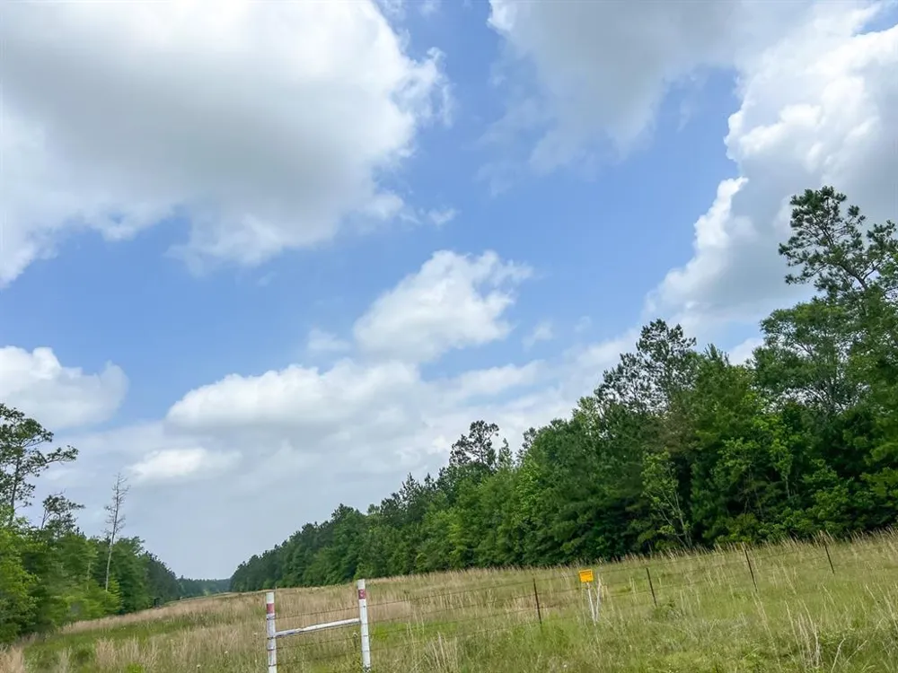 Cravens Camp Rd. Silsbee, TX 77656