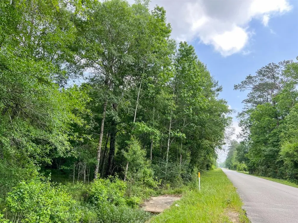 Cravens Camp Rd. Silsbee, TX 77656