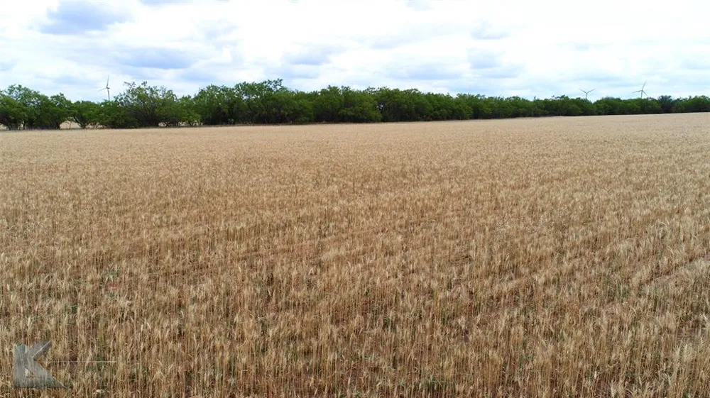 Hwy 351 Abilene, TX 79601