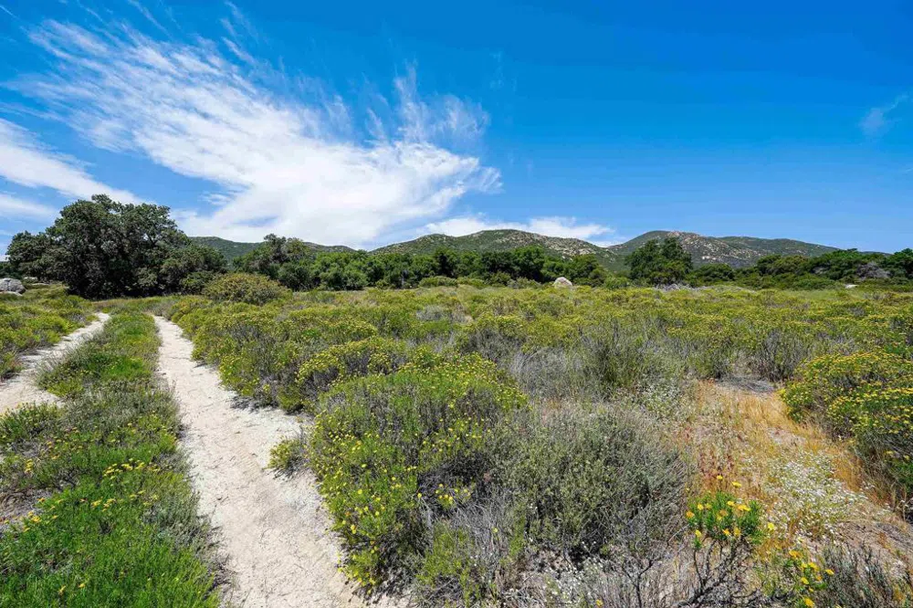 160 acres Canebrake Boulevard, CA 91905