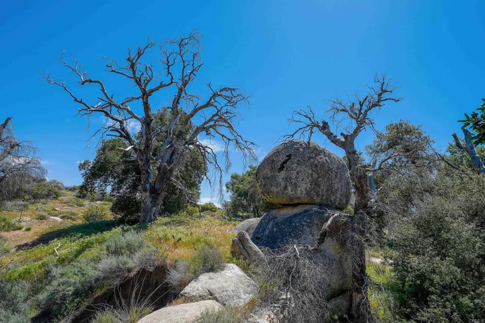 160 acres Canebrake Boulevard, CA 91905