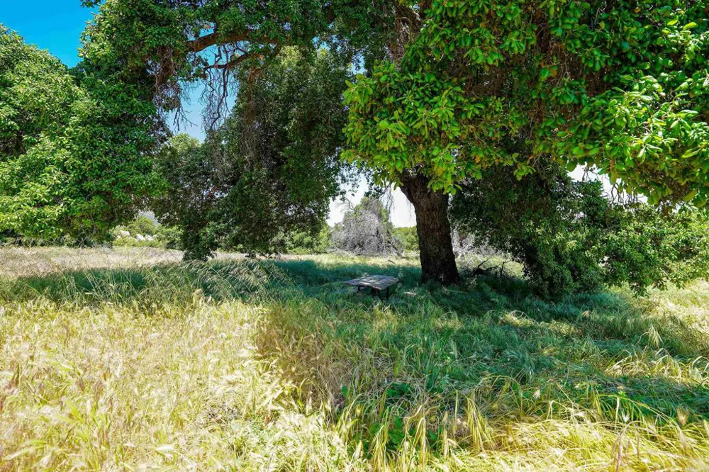 160 acres Canebrake Boulevard, CA 91905