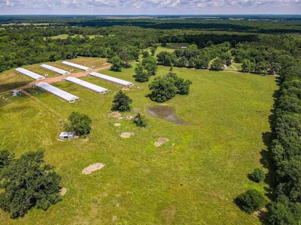 283 CR 3340 Omaha, TX 75571