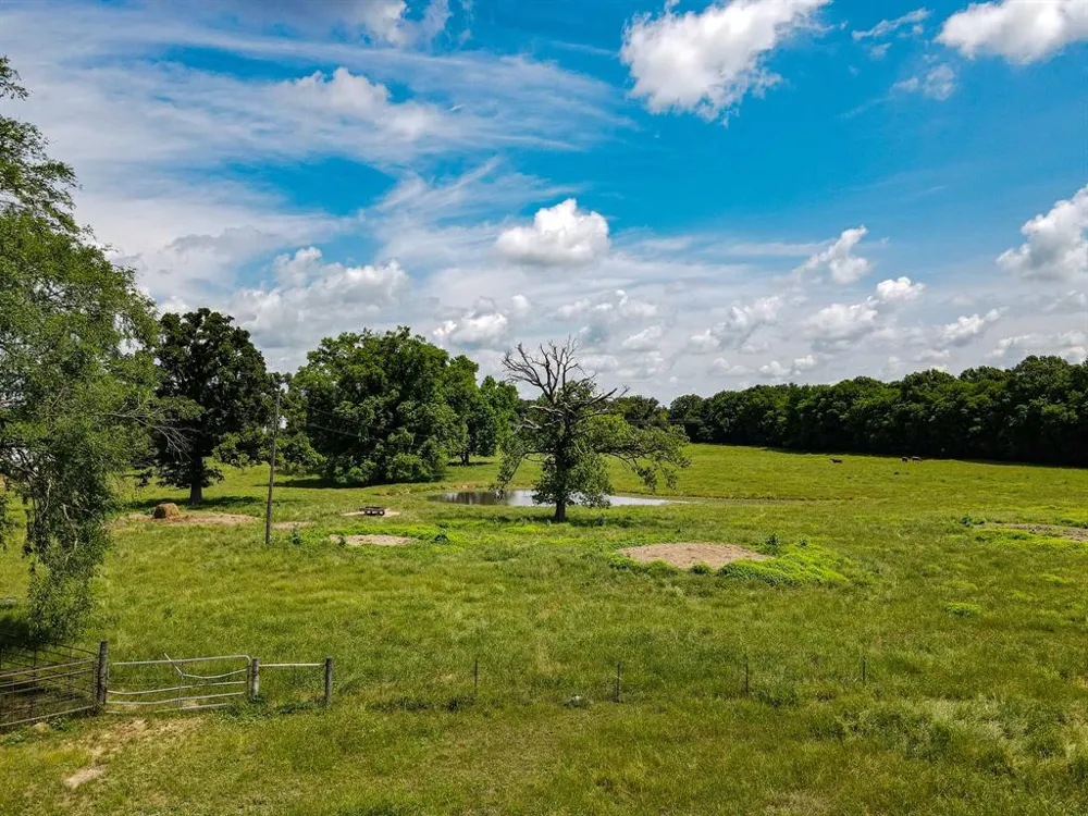 283 CR 3340 Omaha, TX 75571