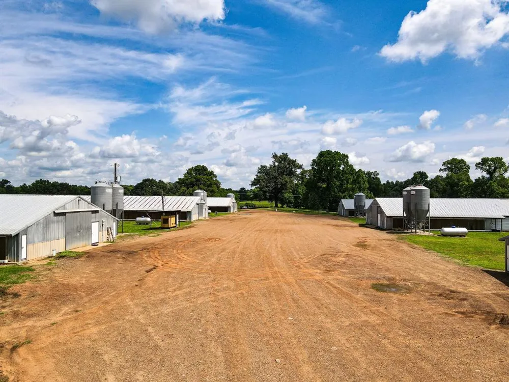 283 CR 3340 Omaha, TX 75571