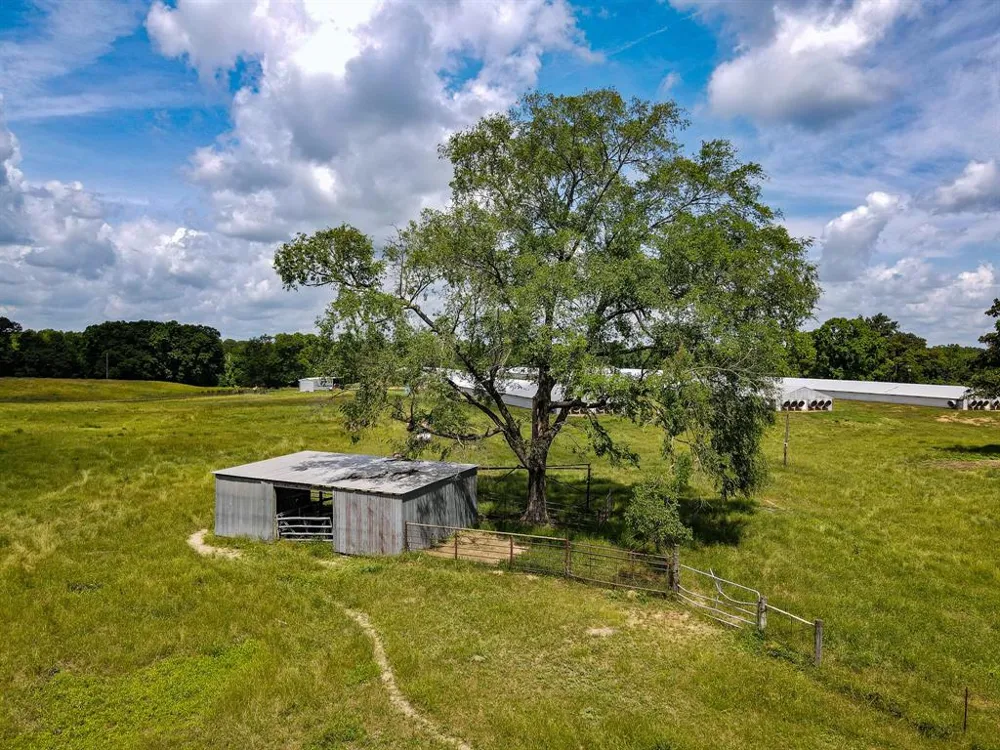 283 CR 3340 Omaha, TX 75571
