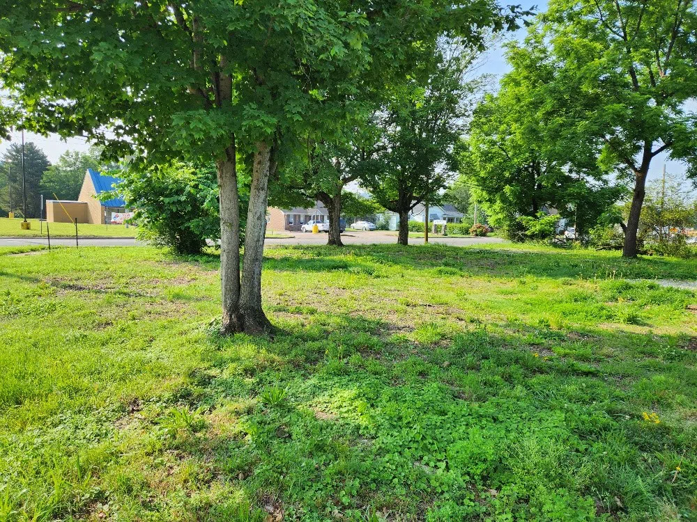 602 S 1st St Pulaski, TN 38478