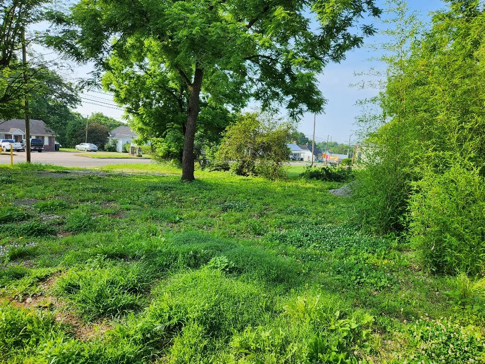 602 S 1st St Pulaski, TN 38478