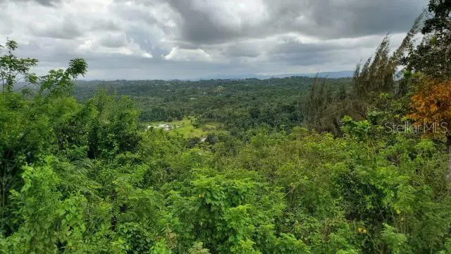 KM. 1.8 PR-678 Vega Alta, PR 00692