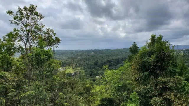KM. 1.8 PR-678 Vega Alta, PR 00692