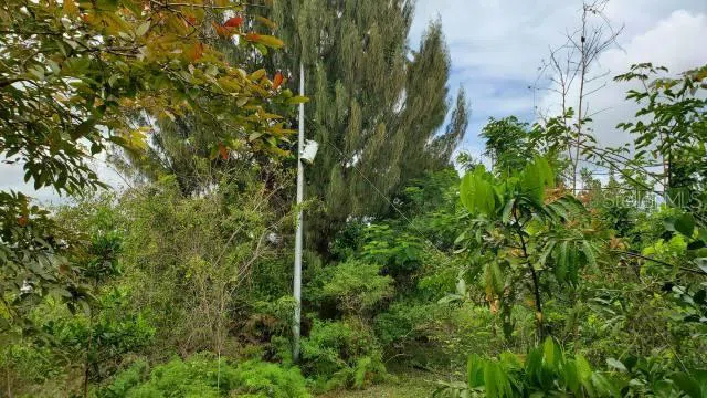KM. 1.8 PR-678 Vega Alta, PR 00692