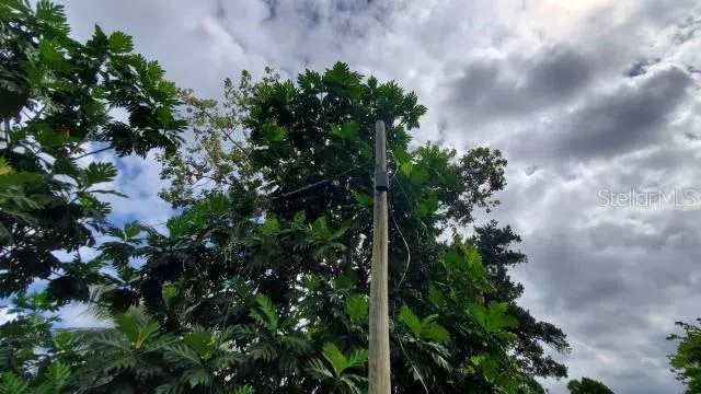 KM. 1.8 PR-678 Vega Alta, PR 00692