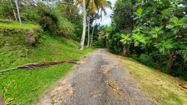 KM. 1.8 PR-678 Vega Alta, PR 00692