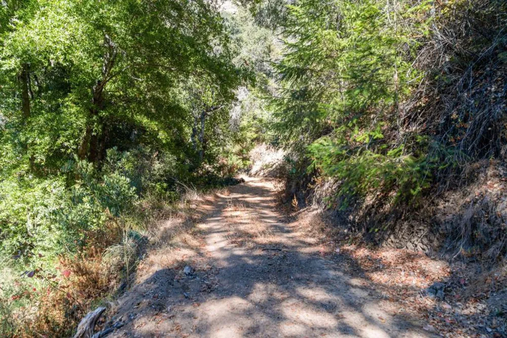 Bear Canyon Road Los Gatos, CA 95033