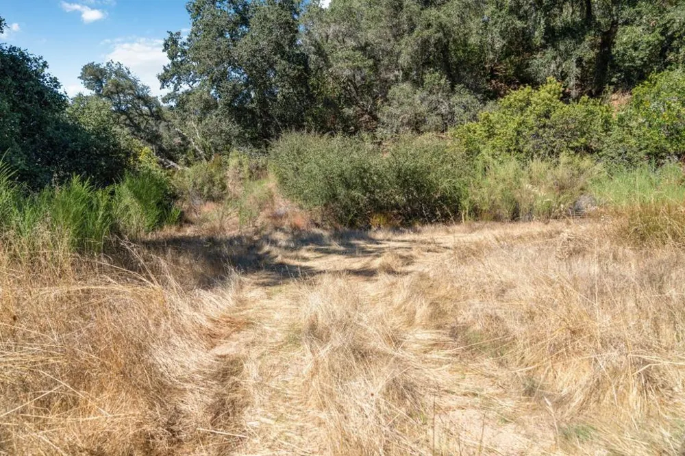 Bear Canyon Road Los Gatos, CA 95033