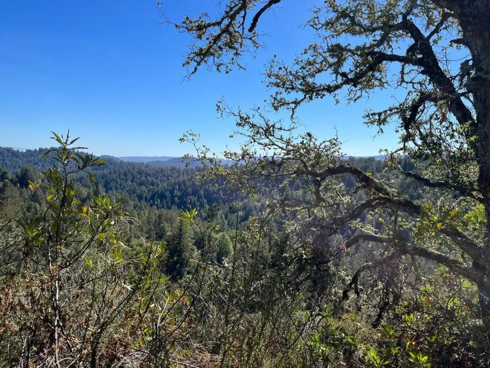 Bear Canyon Road Los Gatos, CA 95033