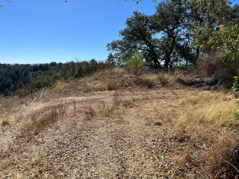 Bear Canyon Road Los Gatos, CA 95033