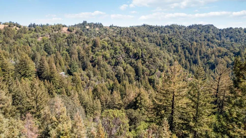 Bear Canyon Road Los Gatos, CA 95033
